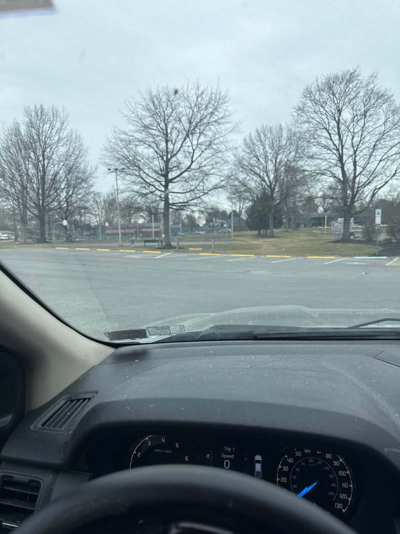 walking near me in Wass Park in spring