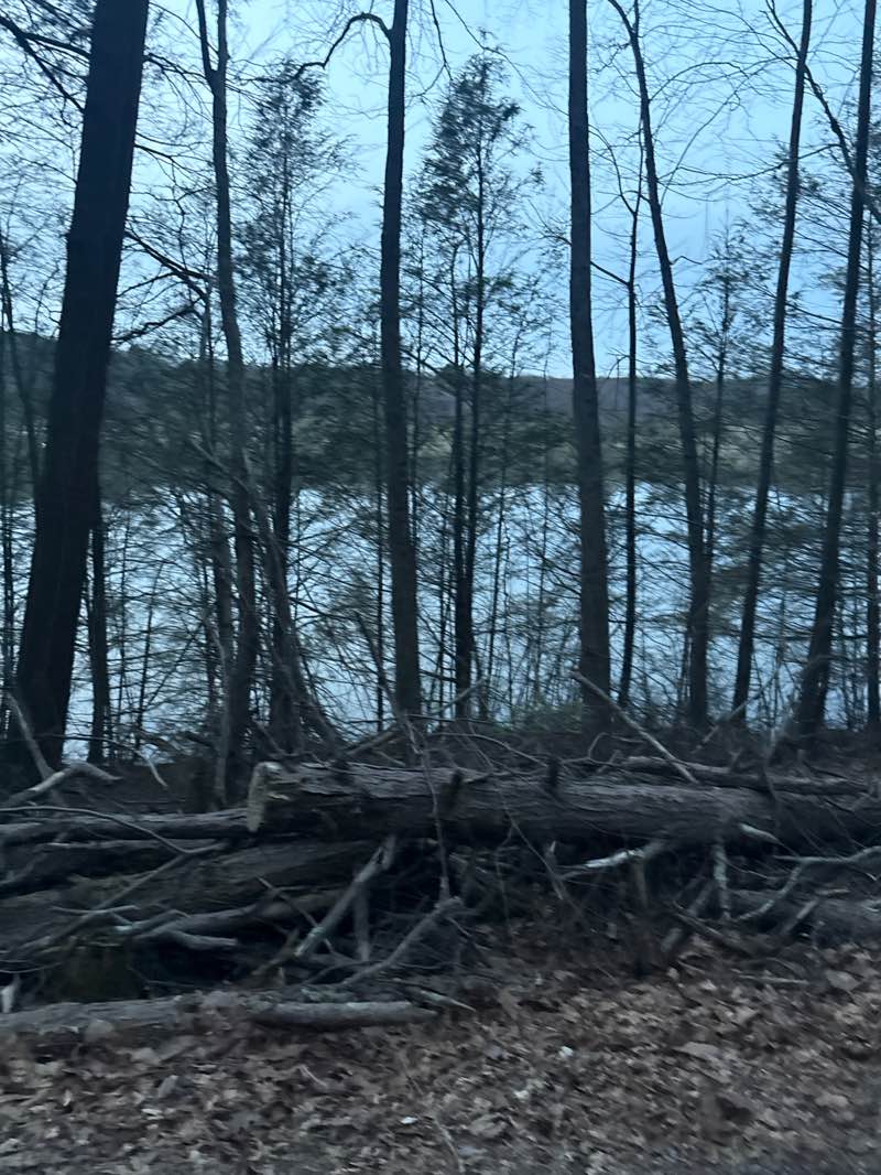 walking near me in Little Buffalo State Park in spring