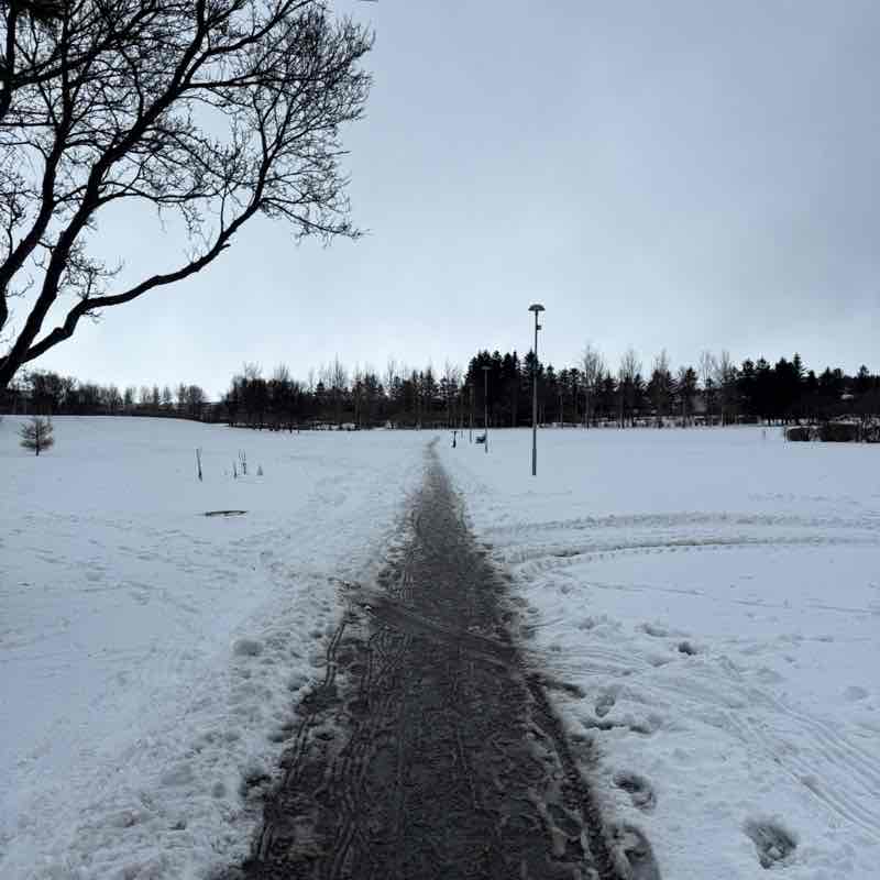 Gestur Páll Reynisson post 1