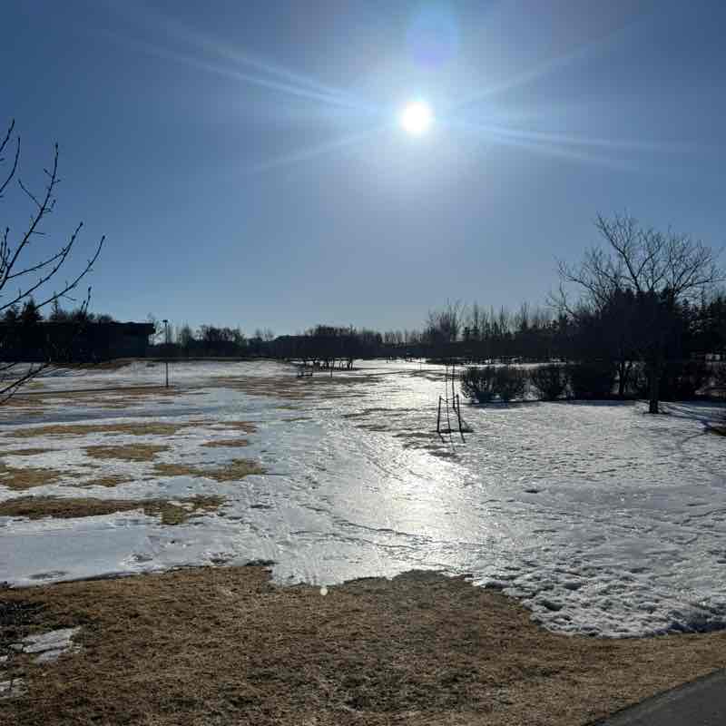 Gestur Páll Reynisson post 1