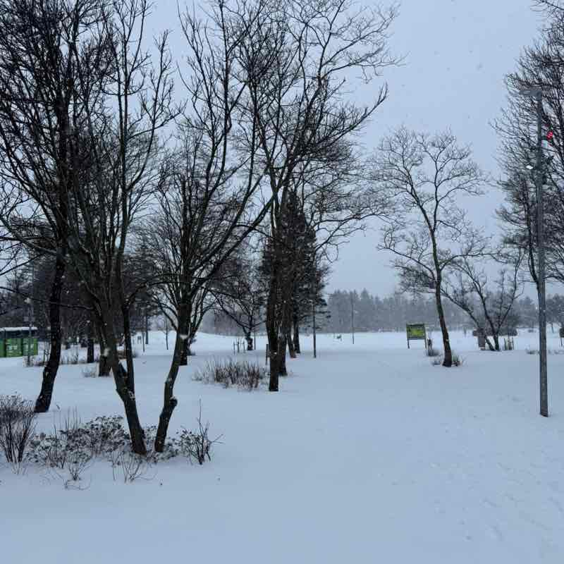 Gestur Páll Reynisson post 1