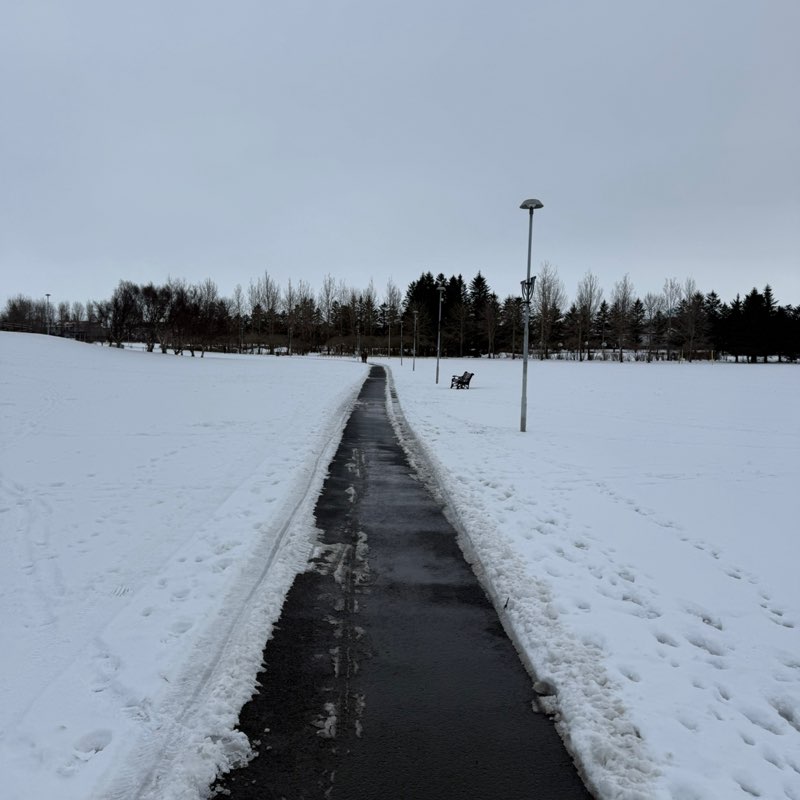 Gestur Páll Reynisson post 1