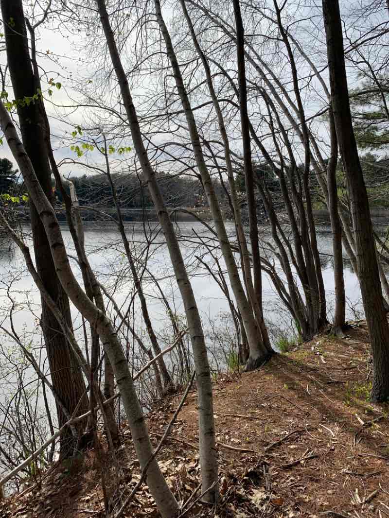 walking near me in Charter Oak Park in winter