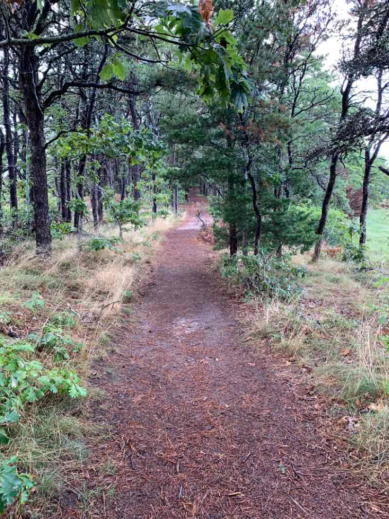 walking near me in Cannon Hill Park in winter