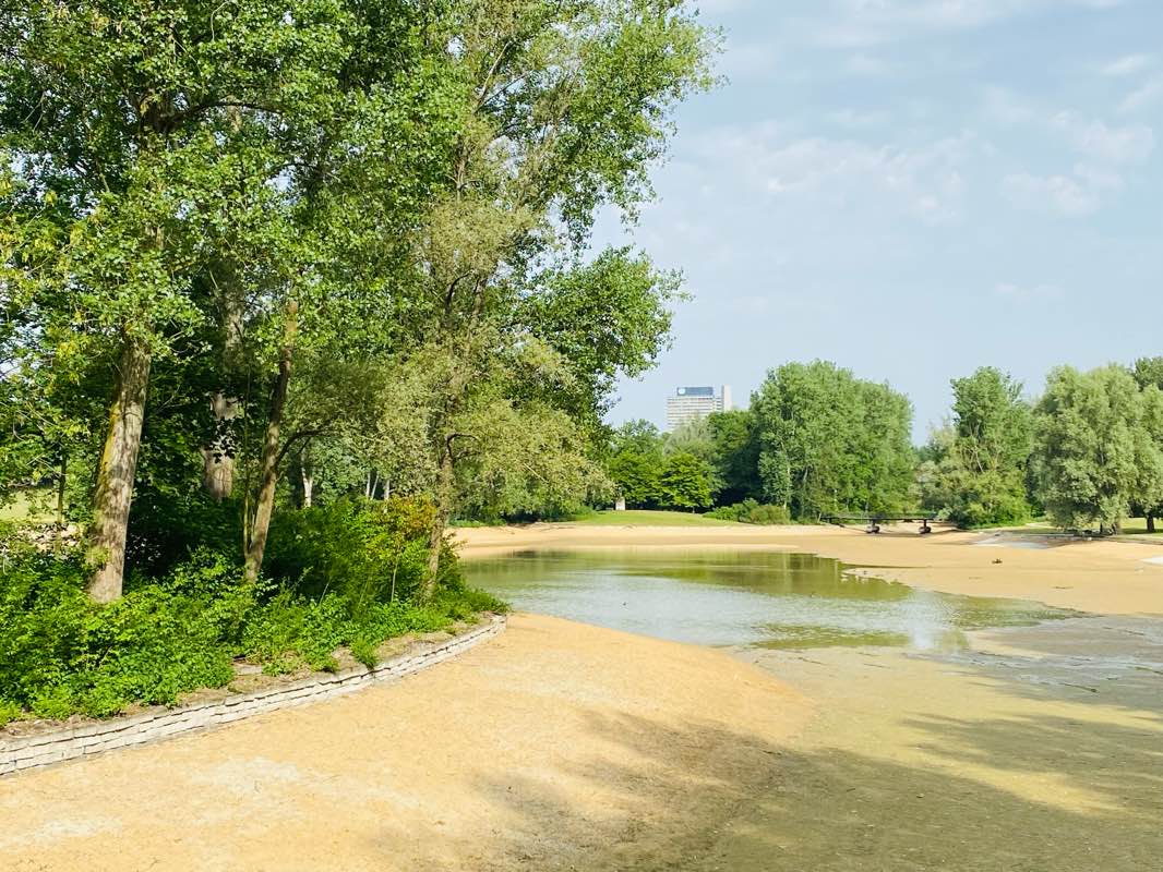 walking near me in Freizeitpark Rheinaue in winter