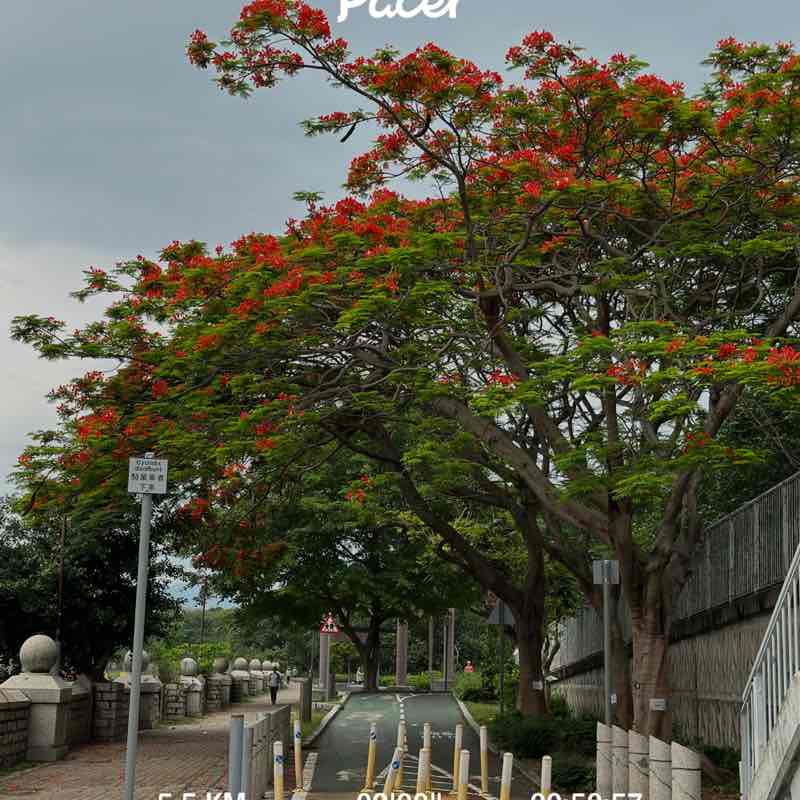 PacerGal_1989 post 1