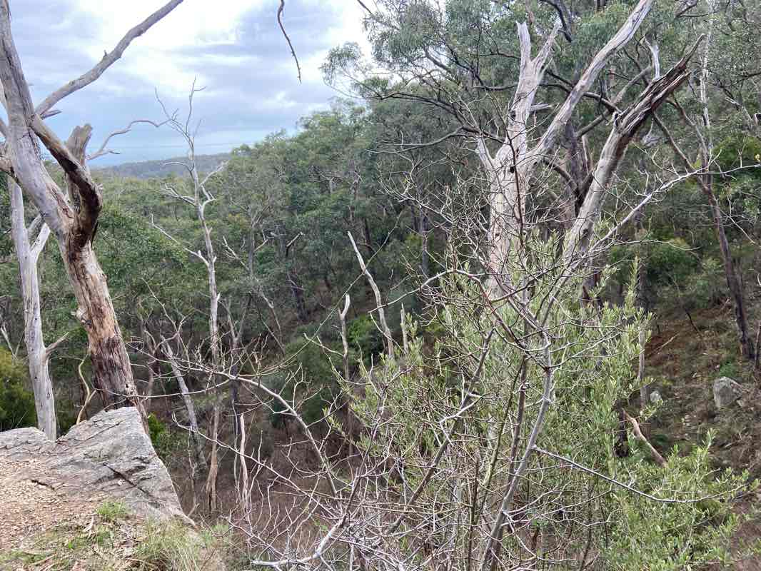 walking near me in Belair National Park in summer