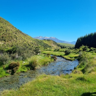 Shelley Molloy post 2