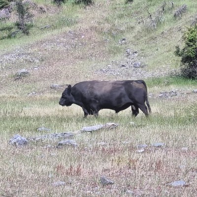 Shelley Molloy post 3