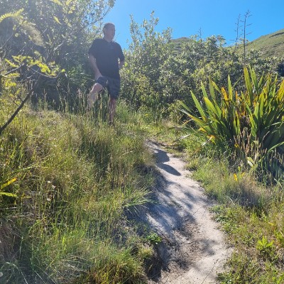 Shelley Molloy post 2