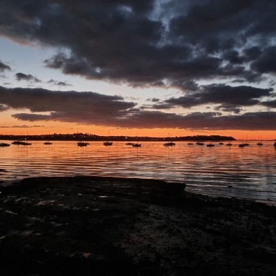 Shelley Molloy post 2