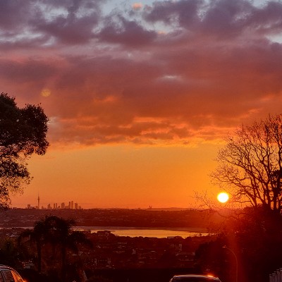 Shelley Molloy post 1