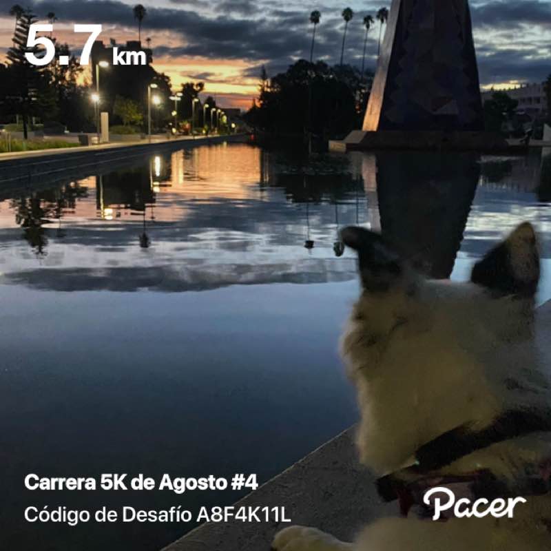 Ileana Patricia post 1