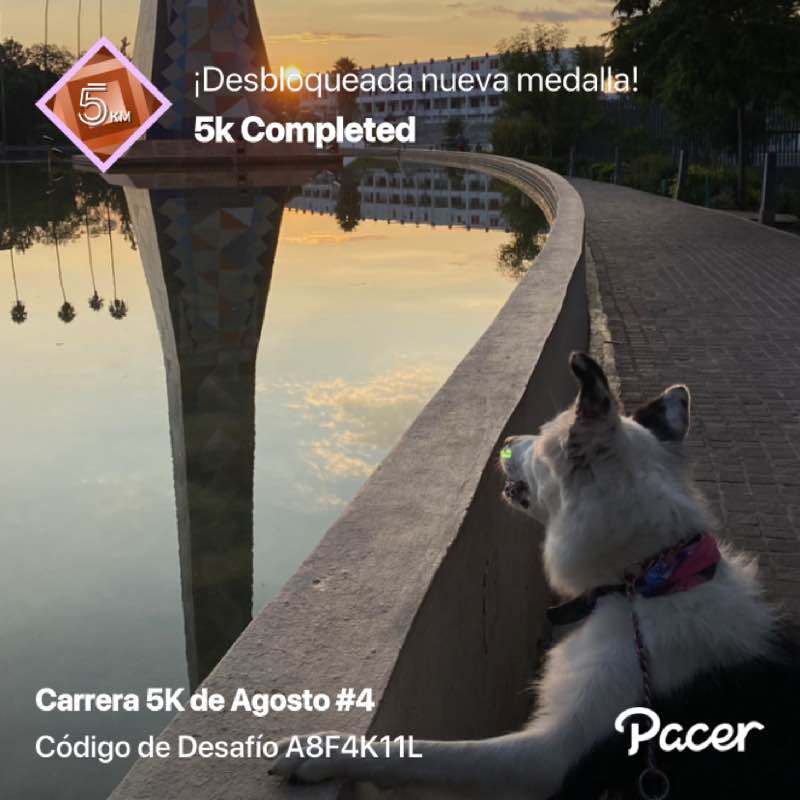 Ileana Patricia post 1