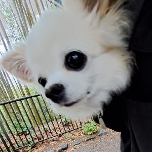 トワちゃん🐾💌 profile