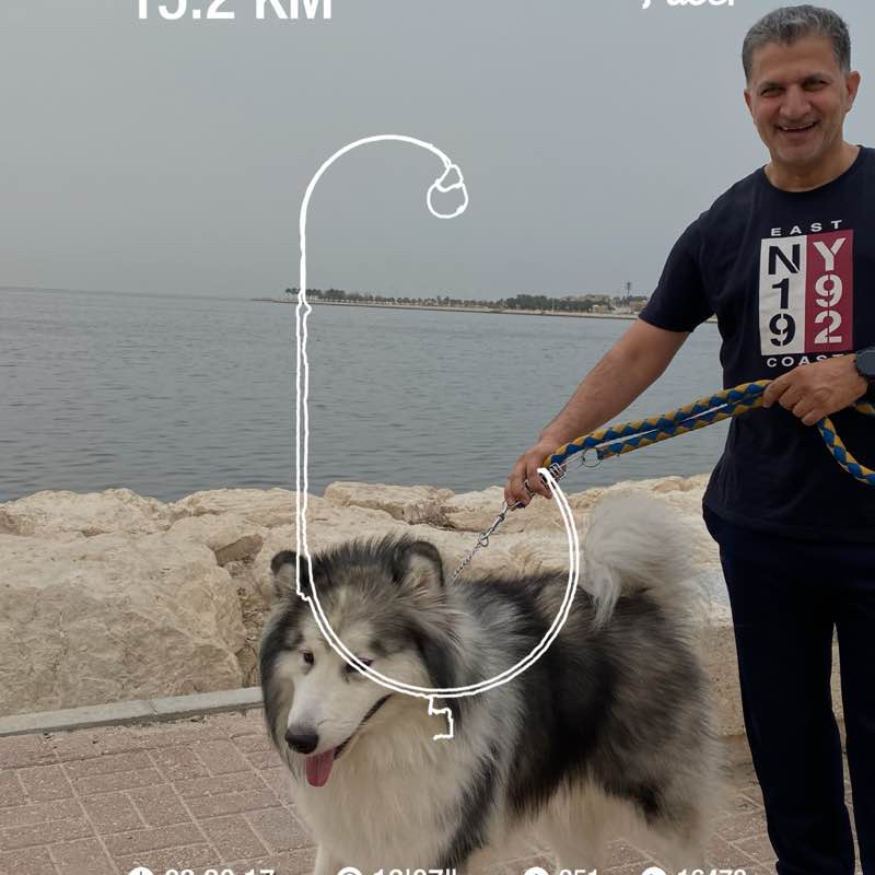 A. Rhman 🇸🇦 post 1