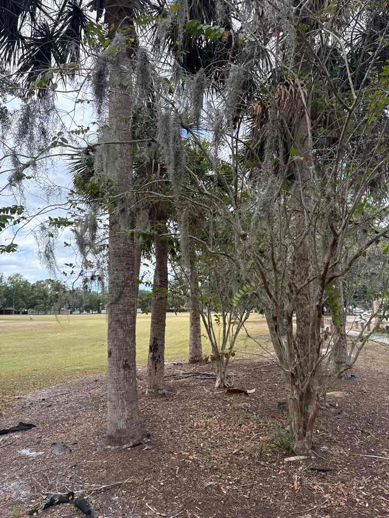walking near me in Northdale Park in autumn