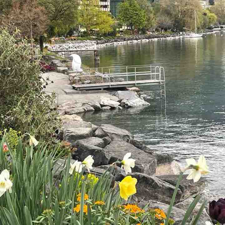 #GoRun To Health🏃🏻‍♀️🏃🏻 Алёна 🇺🇦🇨🇭 post image