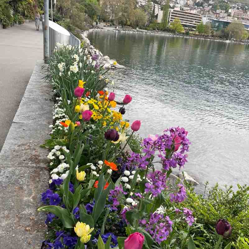 #GoRun To Health🏃🏻‍♀️🏃🏻 Алёна 🇺🇦🇨🇭 post image