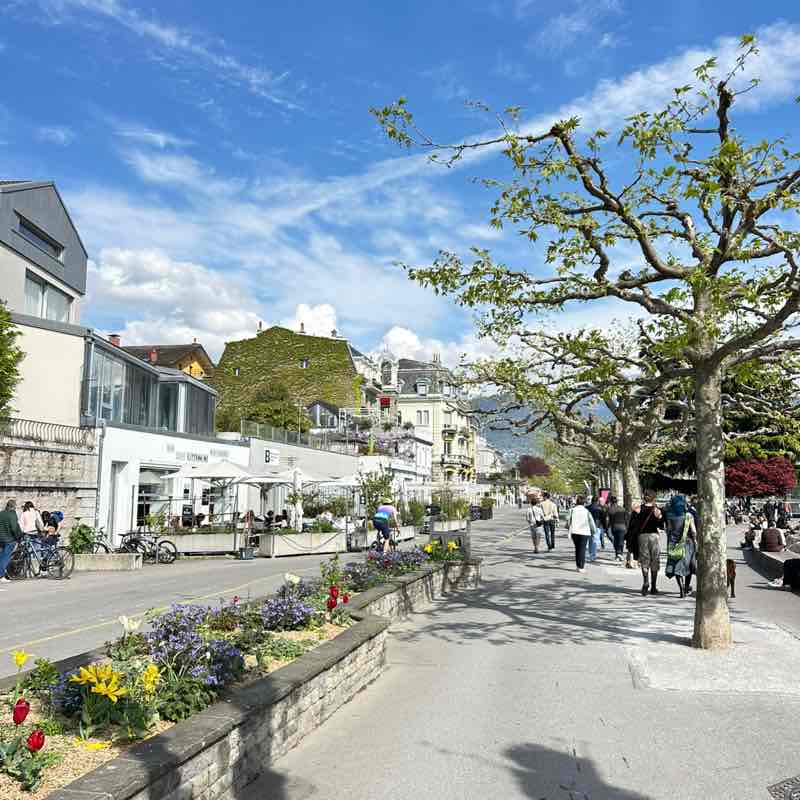 #GoRun To Health🏃🏻‍♀️🏃🏻 Алёна 🇺🇦🇨🇭 post image