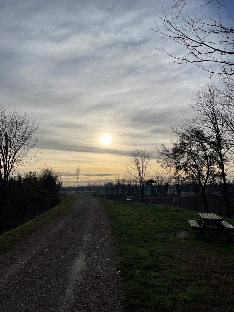 walking near me in Parco Vita in winter