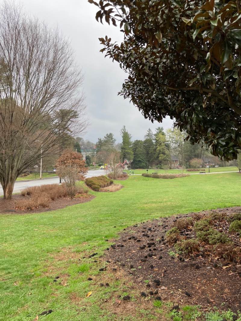 walking near me in Grove Park in winter