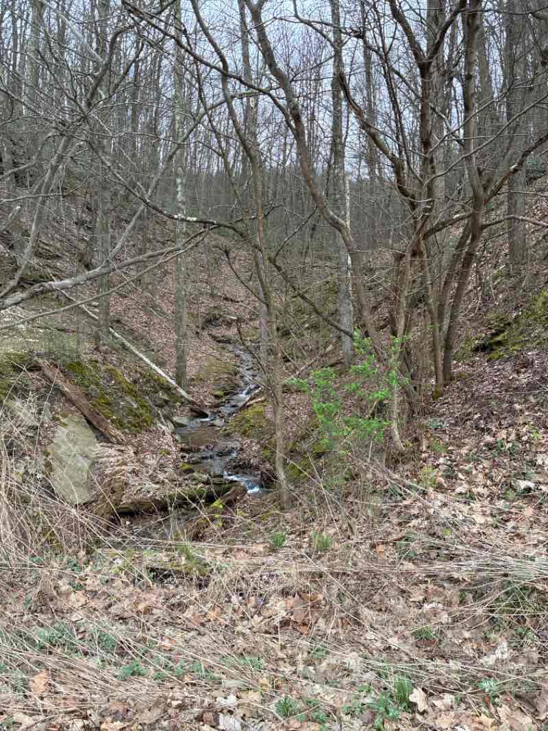 walking near me in Samuel Justus Recreational Trail Visitor Center in spring