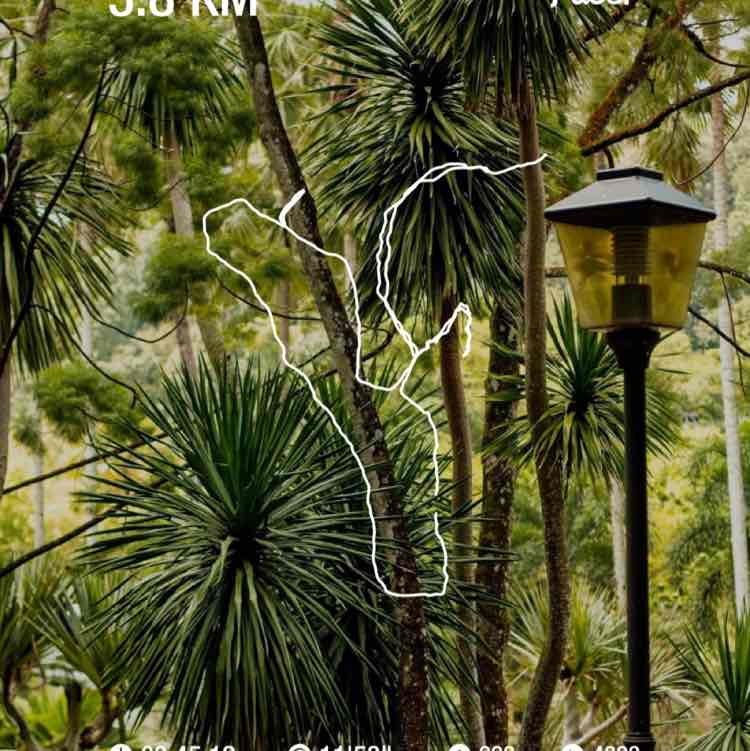 miemazara.syahab post 1