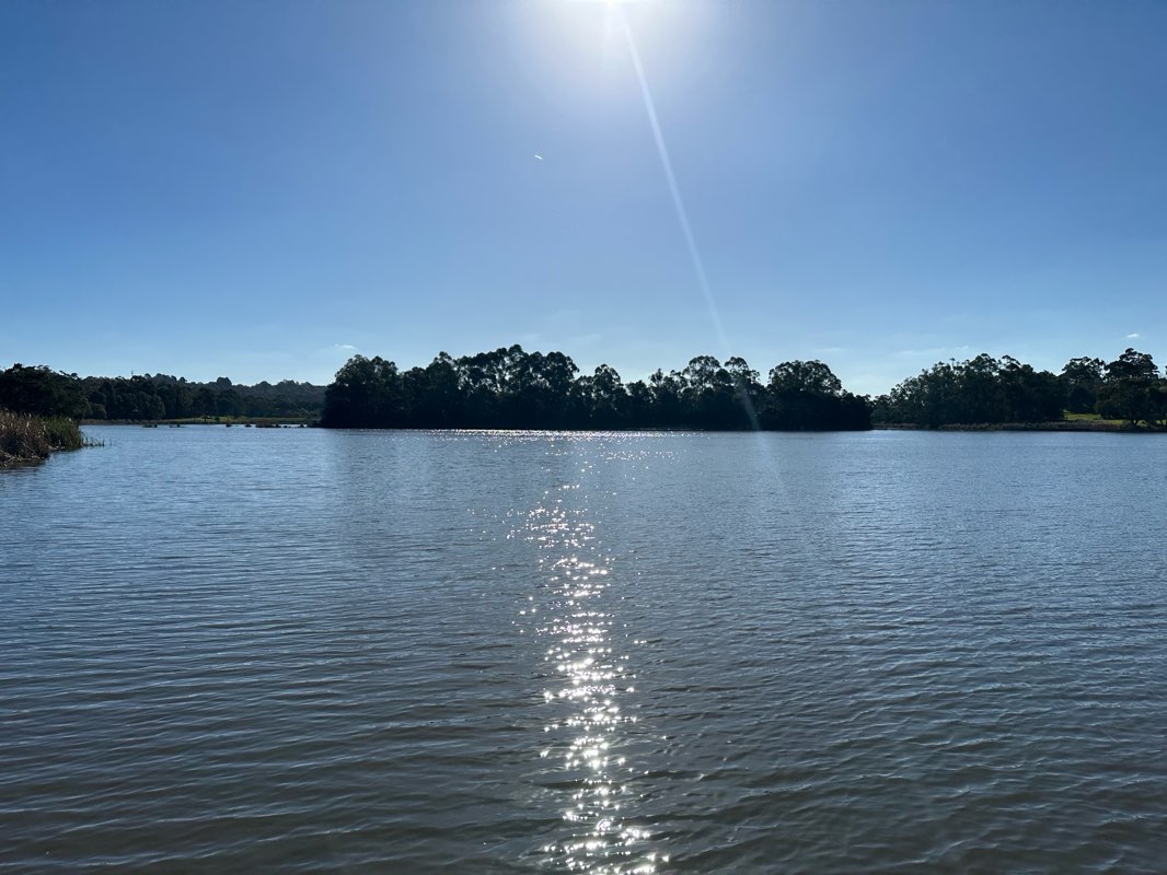 walking near me in Lillydale Lake Park in winter