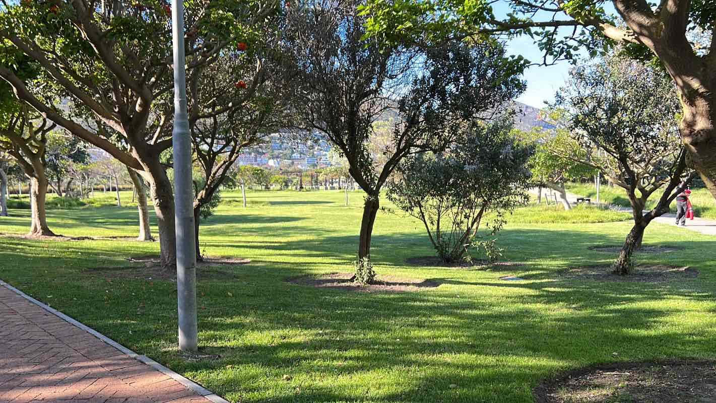 walking near me in Green Point Park in summer