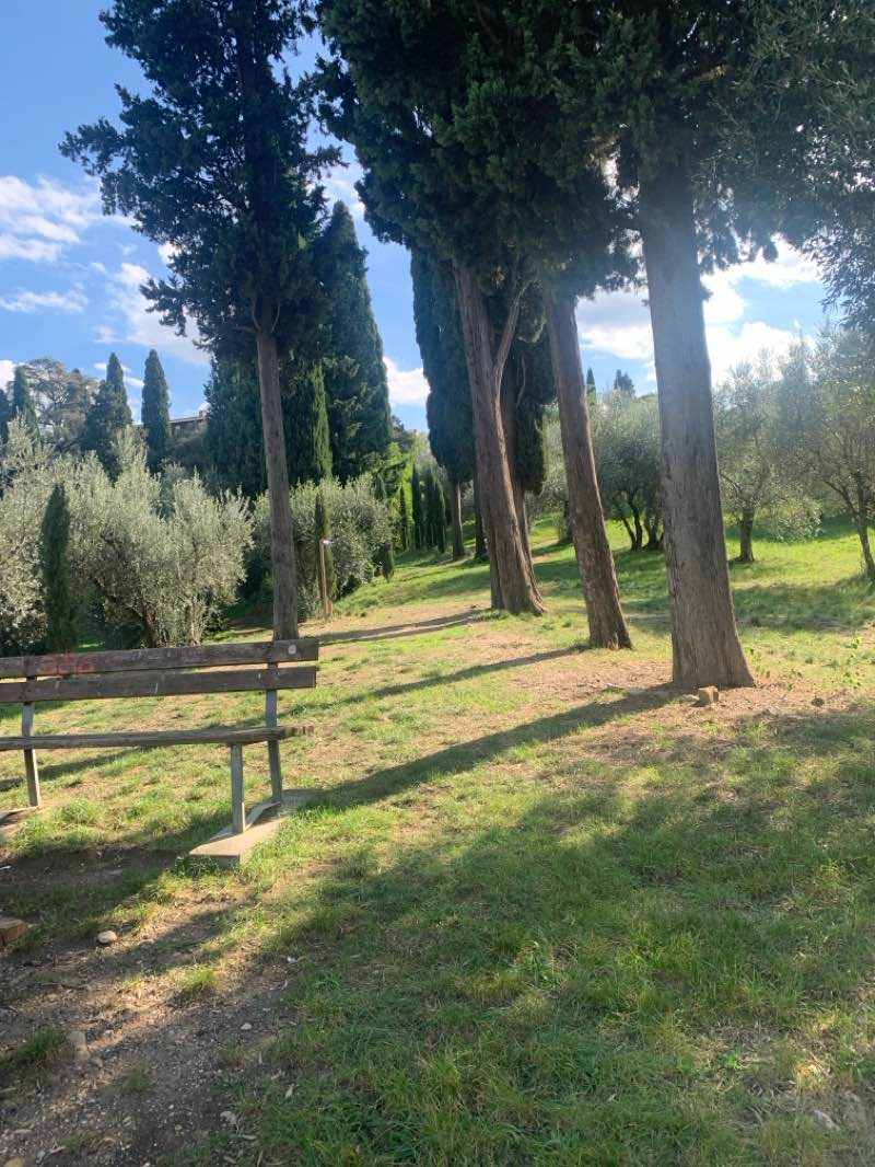 walking near me in Giardino Rossella Casini in autumn