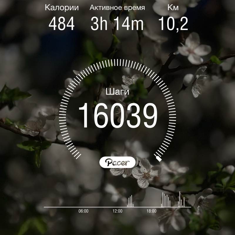 Viktoria T❤️🇷🇺🐯 post 1