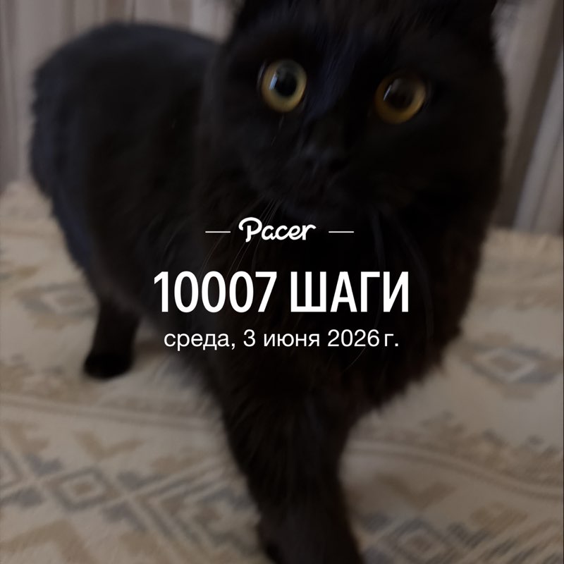 Viktoria T❤️🇷🇺🐯 post 1