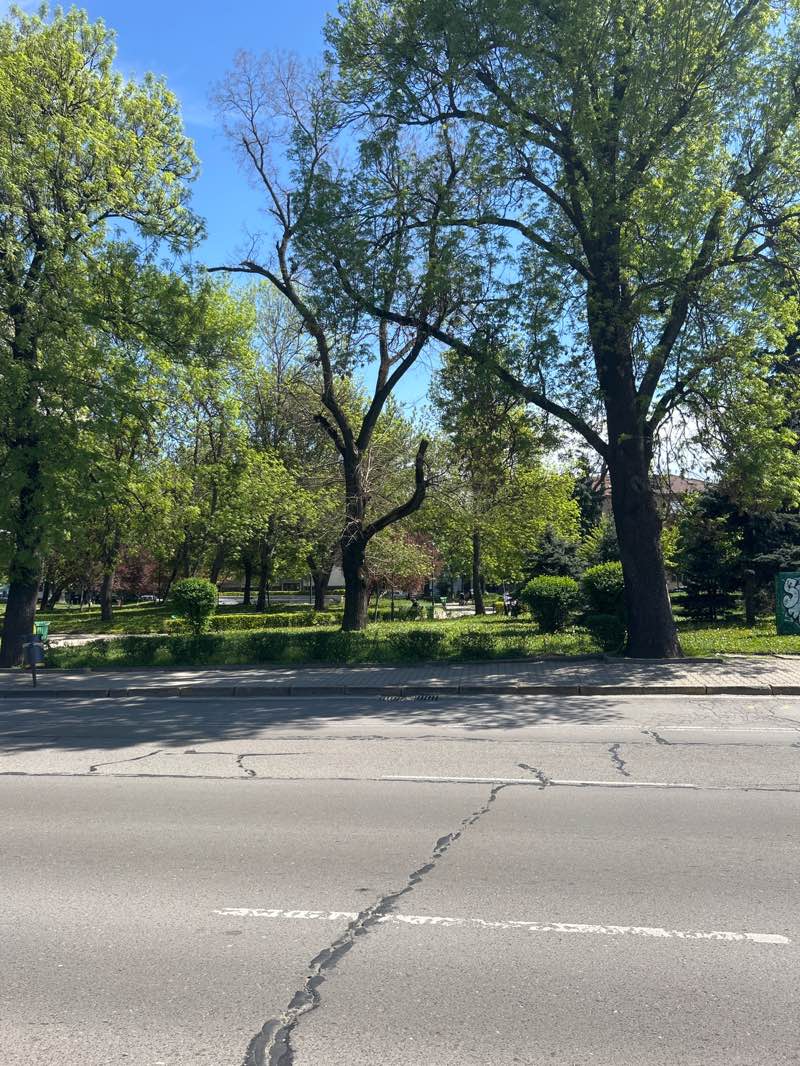 walking near me in градина "Баня Лозенец" in spring
