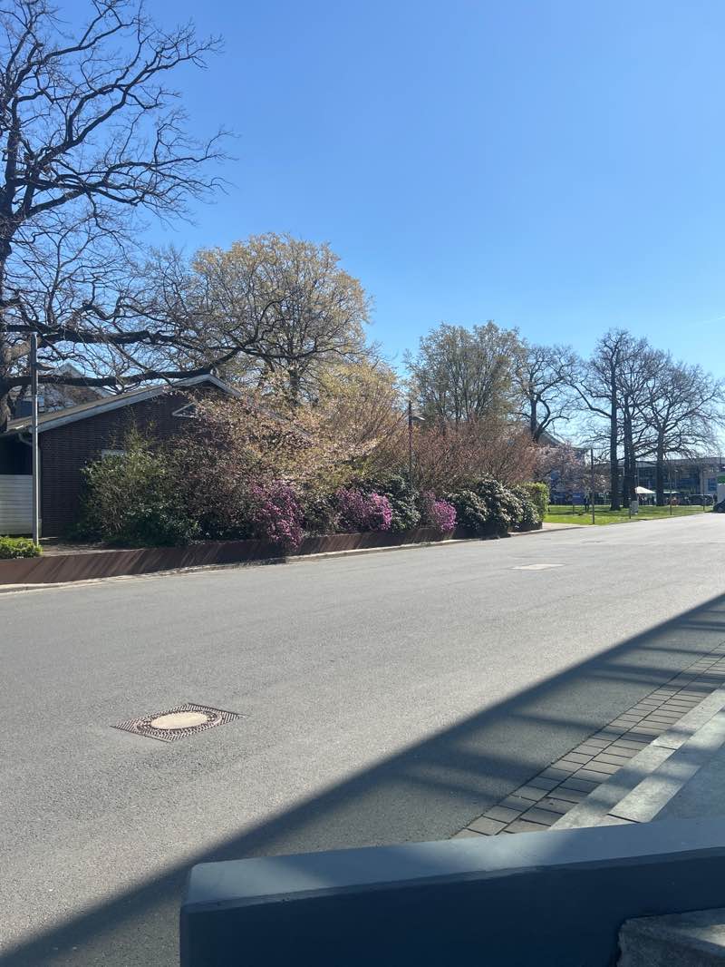 walking near me in Konrad-Zuse-Park in spring