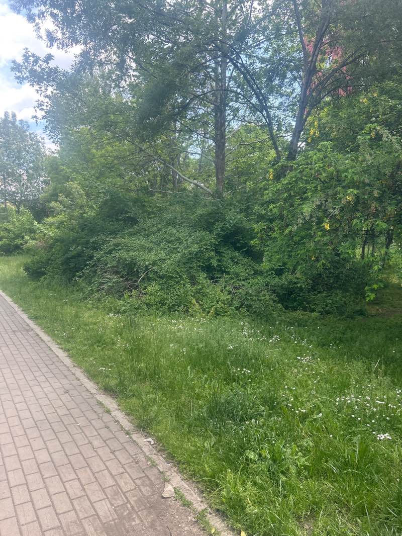 walking near me in Градинката зад КАТ in spring