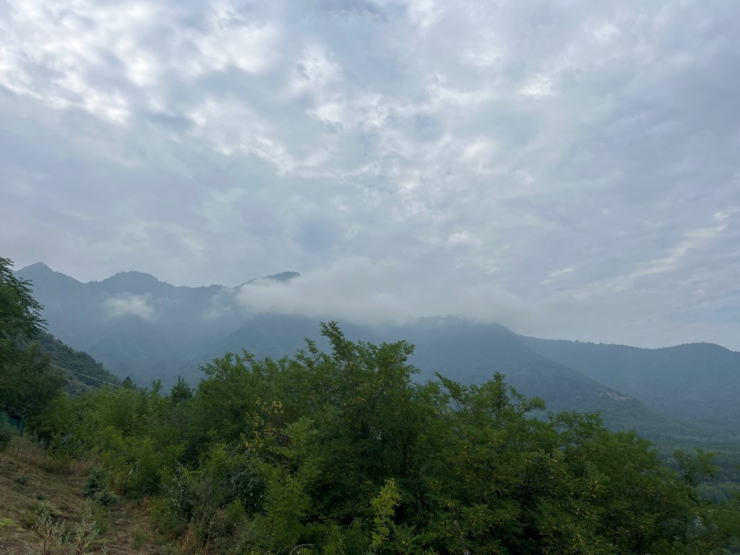 walking near me in Cheshme Shahi in winter