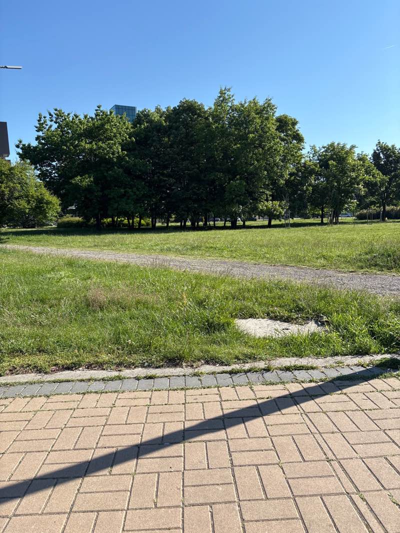 walking near me in Studentski Park in spring