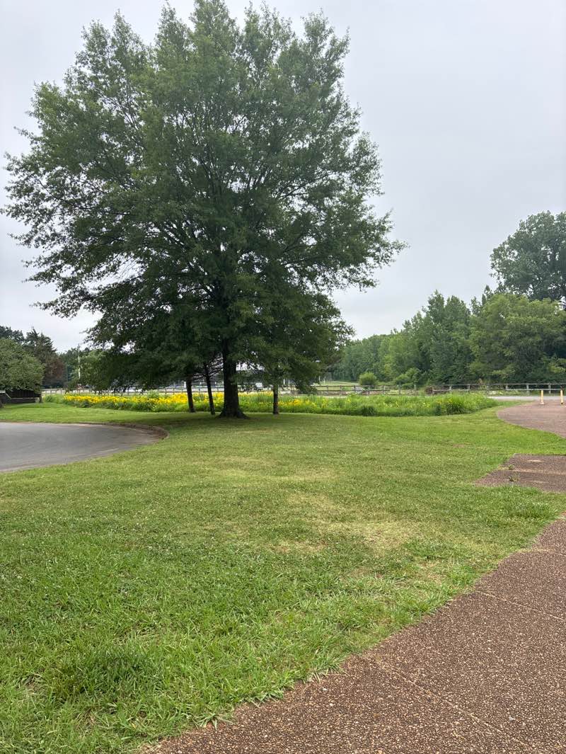 walking near me in Stones River National Battlefield in summer