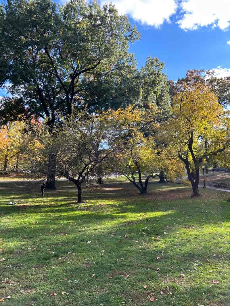 walking near me in Central Park in autumn
