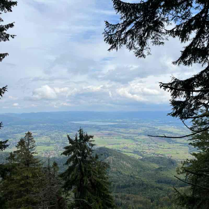 Krzyś 🇵🇱 post 2