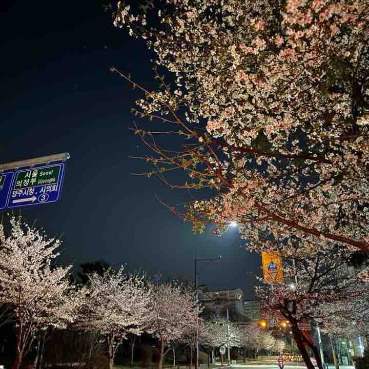 June Lee 🇰🇷 post 2