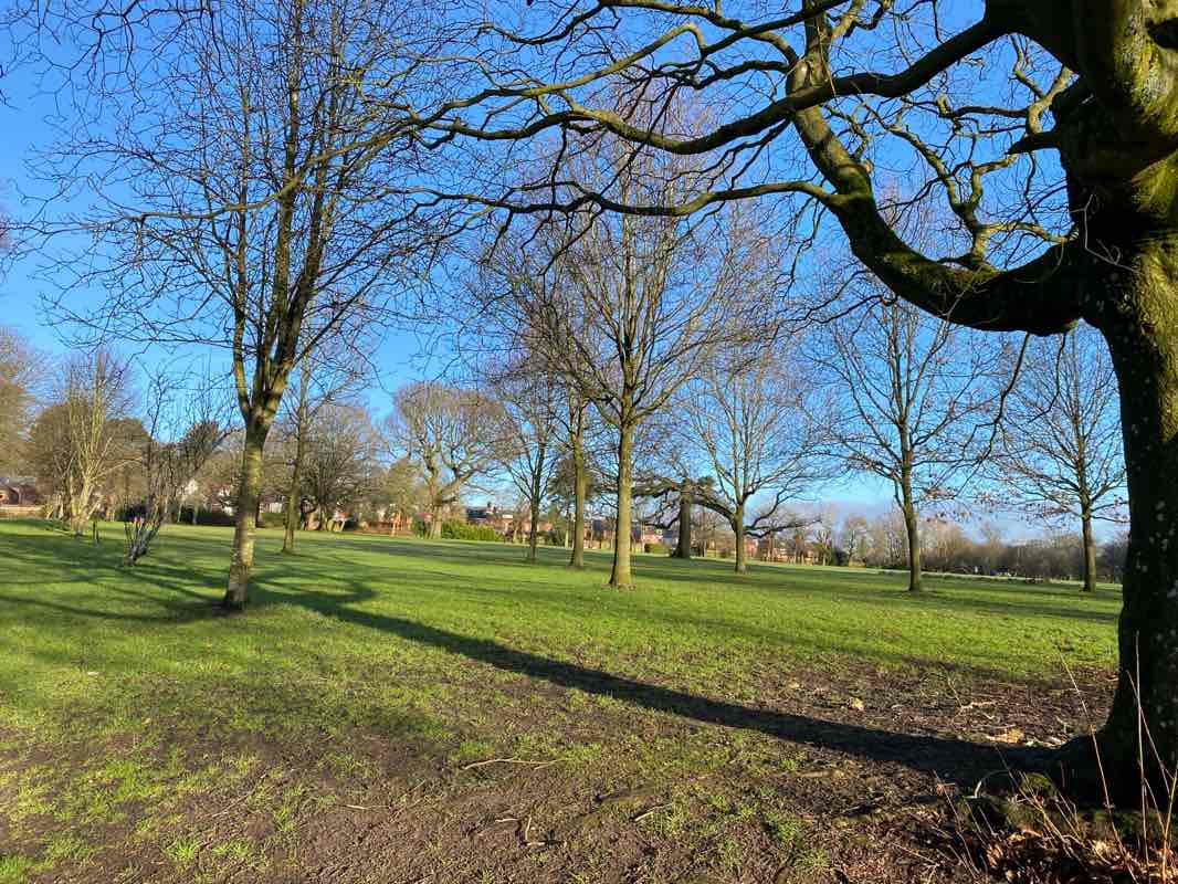 walking near me in Lightwoods Park in winter