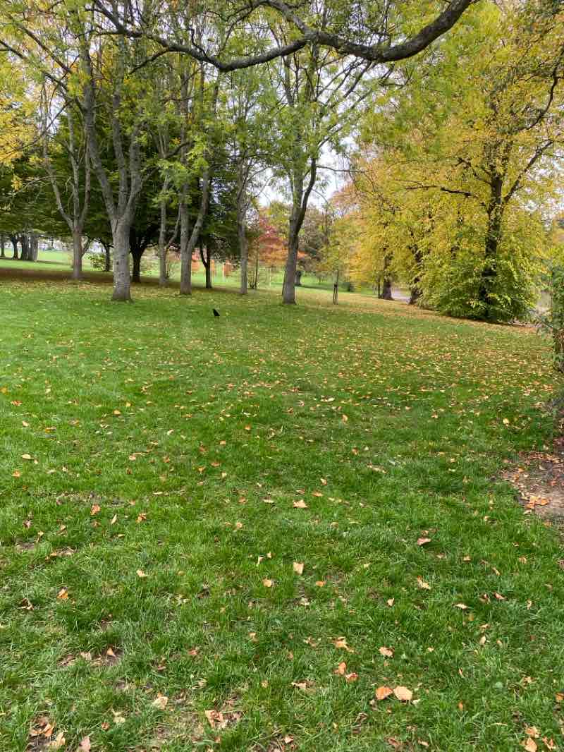 walking near me in Queen's Park in autumn