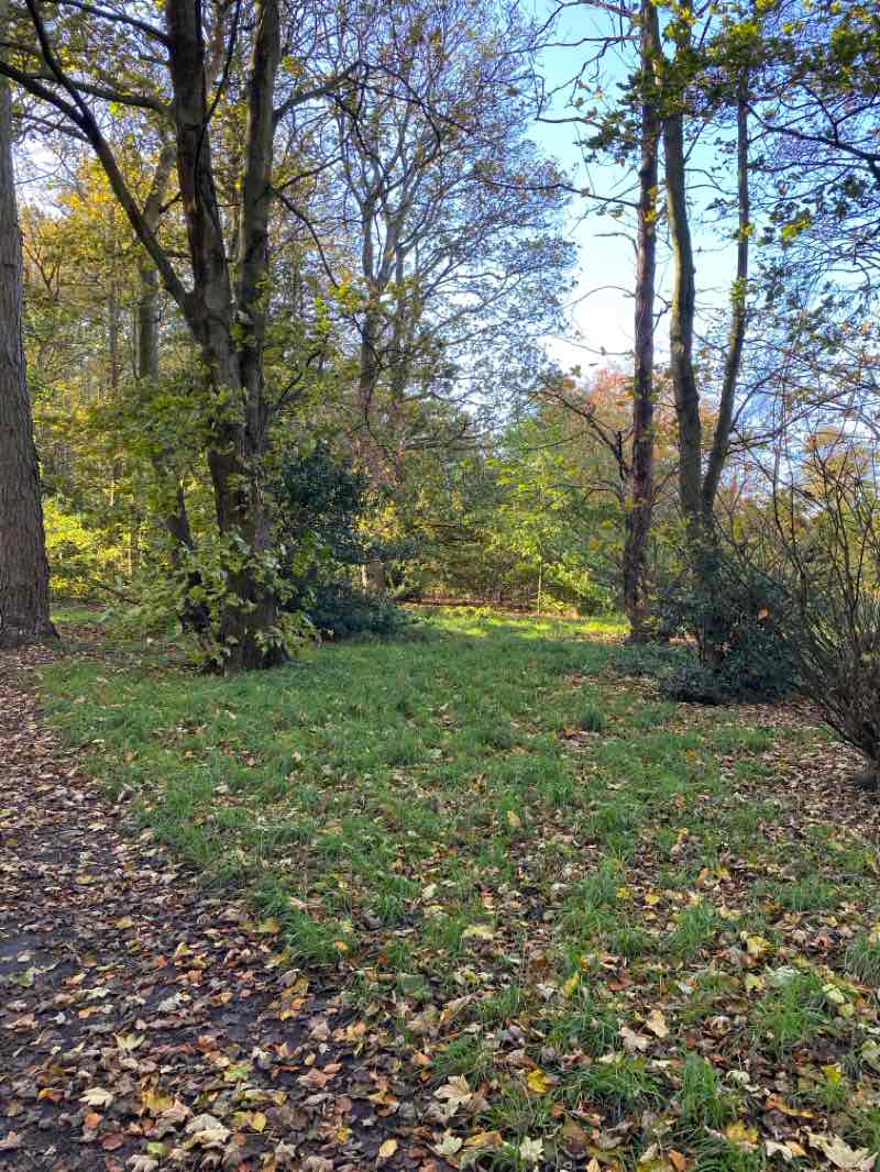 walking near me in Warley Woods Park in autumn