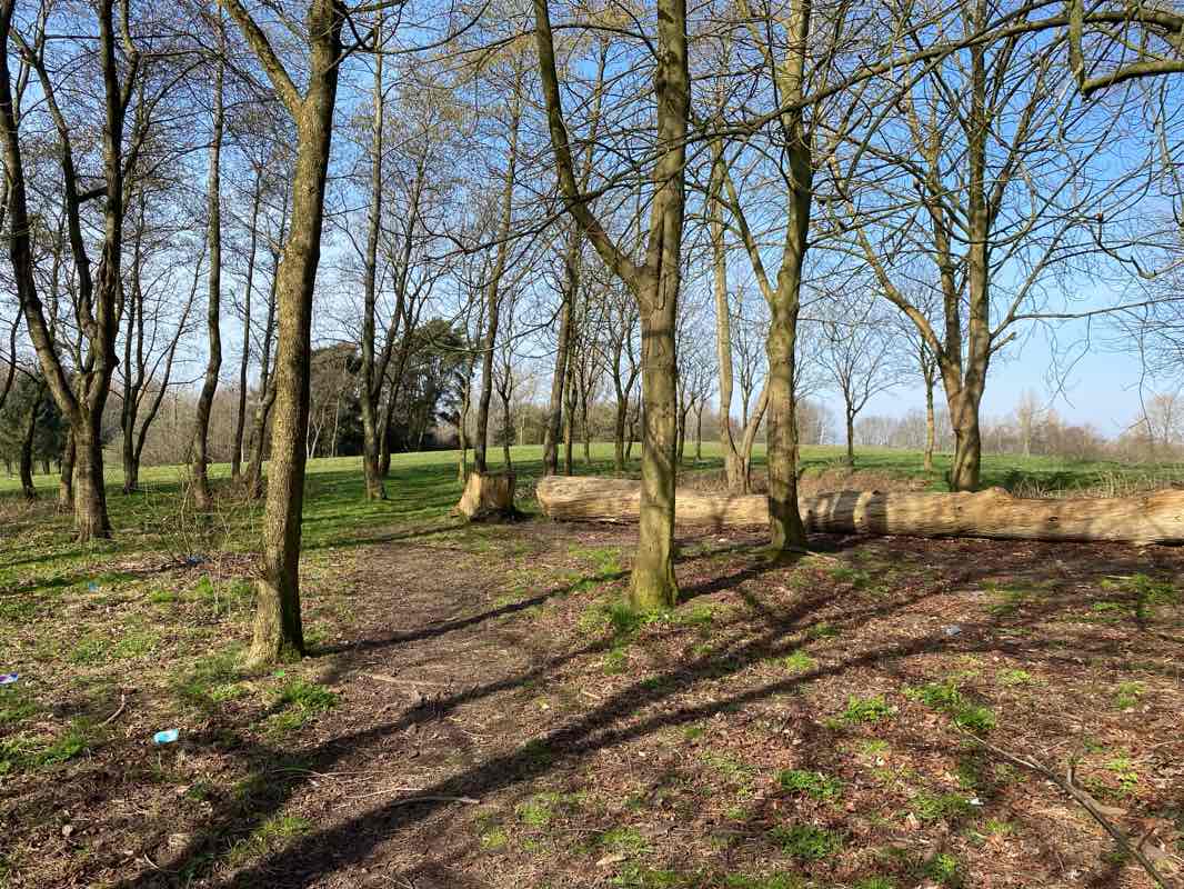 walking near me in Parson's Hill Park in spring