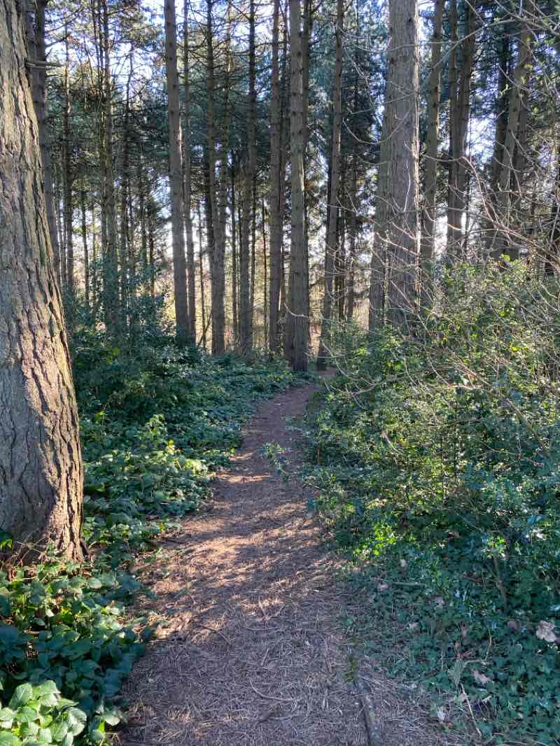 walking near me in Cofton Park in spring
