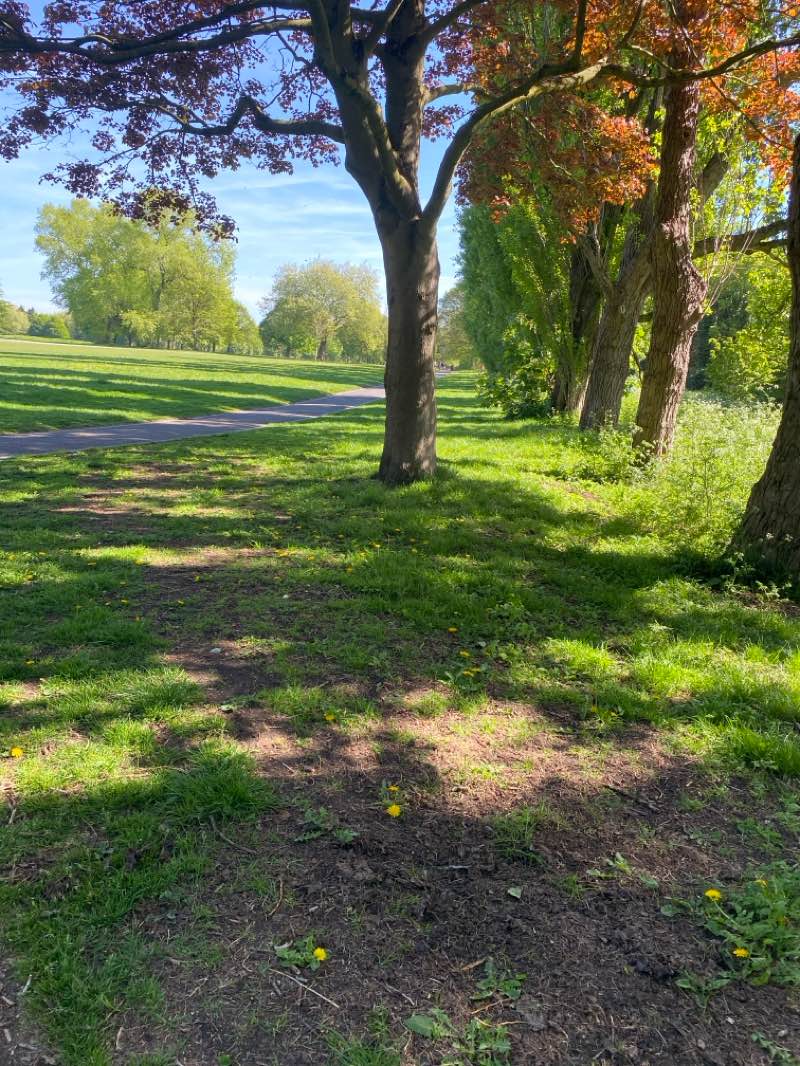 walking near me in Lightwoods Park in spring