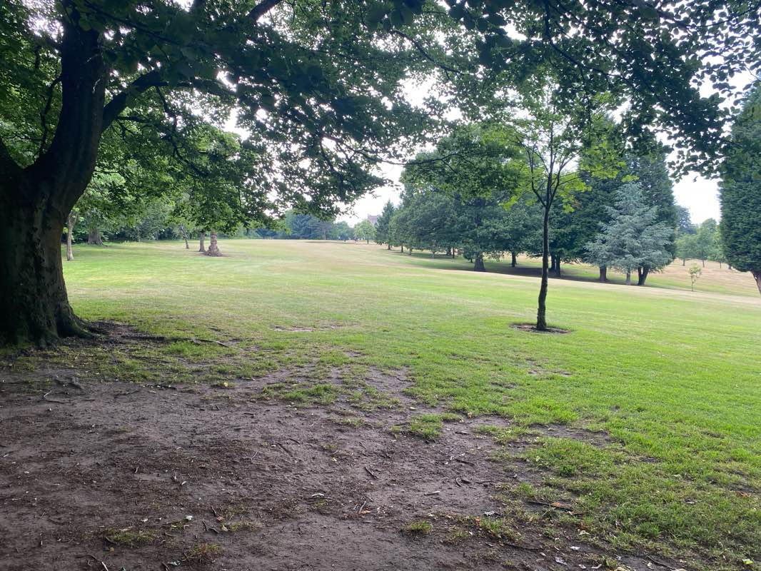 walking near me in Warley Woods Park in summer