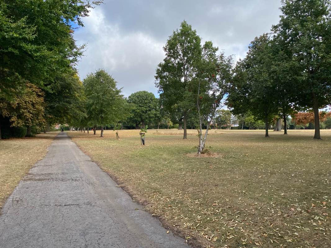 walking near me in Summerfield Park in autumn